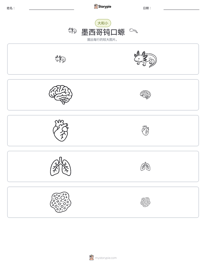 分类