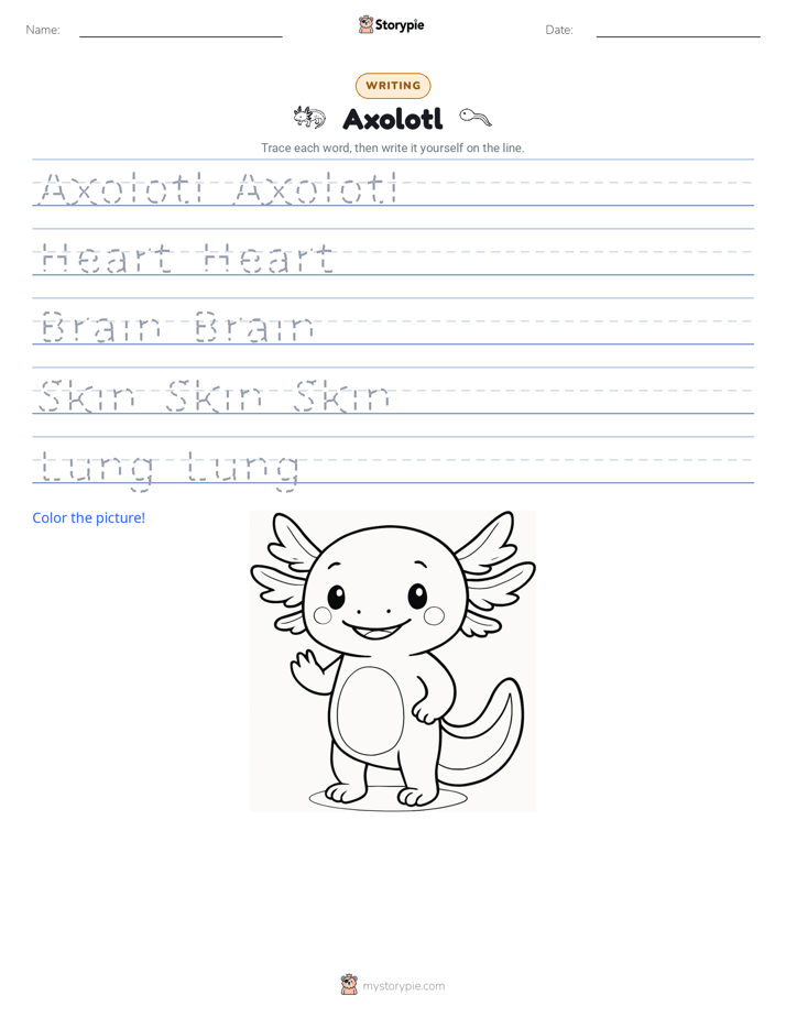Writing Practice