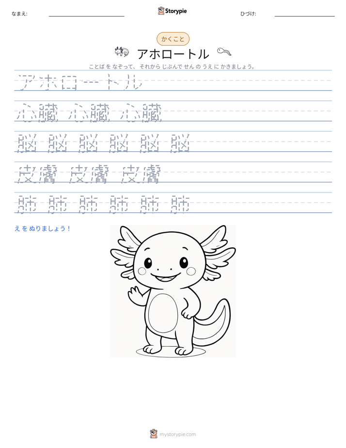 書き取り練習