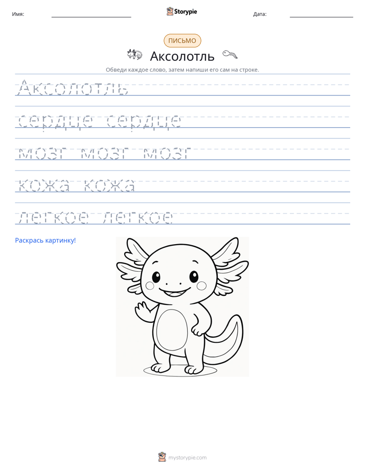 Практика письма