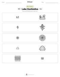 Lake Xochimilco printable worksheet preview