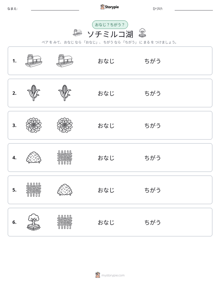同じか違うか