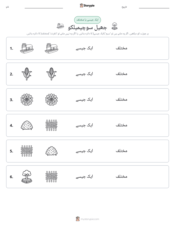 ایک جیسا یا مختلف