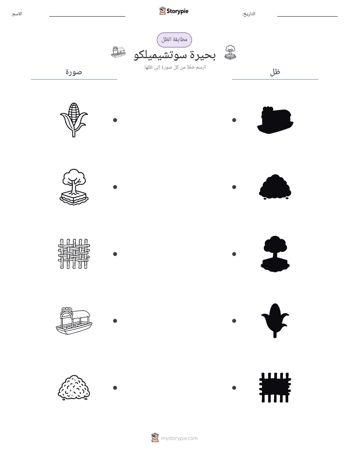 مطابقة الظل