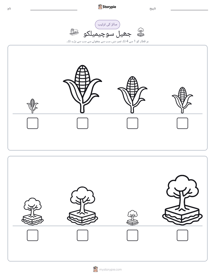 سائز کی ترتیب