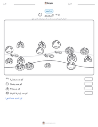 معاينة ورقة العمل القابلة للطباعة السمندر