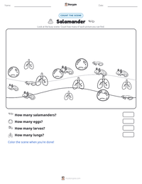 Salamander printable worksheet preview