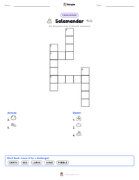 Salamander printable worksheet preview