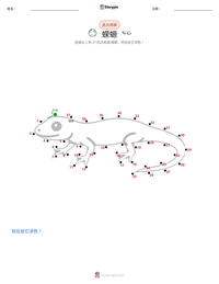 蝾螈 可打印工作表预览