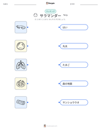 サラマンダー の印刷可能ワークシートプレビュー