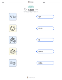 도롱뇽 인쇄 가능한 워크시트 미리보기