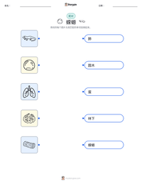 蝾螈 可打印工作表预览