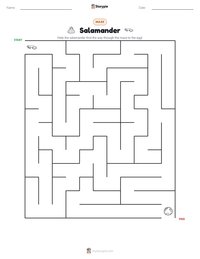 Salamander printable worksheet preview