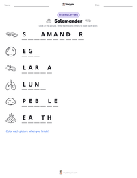 Salamander printable worksheet preview