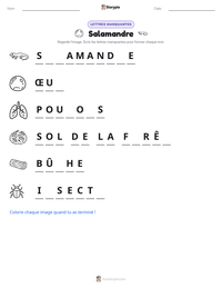 Aperçu de la feuille de travail imprimable Salamandre