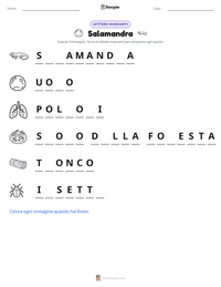 Anteprima della scheda stampabile di Salamandra