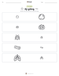 Xem trước tài liệu in sẵn Kỳ giông