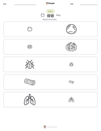 蝾螈 可打印工作表预览