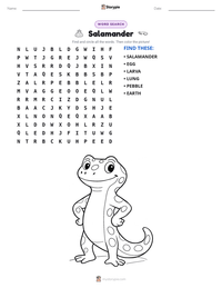 Salamander printable worksheet preview