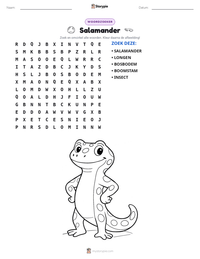 Salamander afdrukbare werkblad voorbeeld