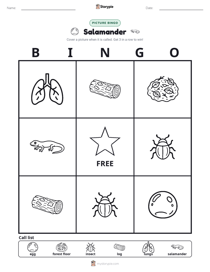 Picture Bingo