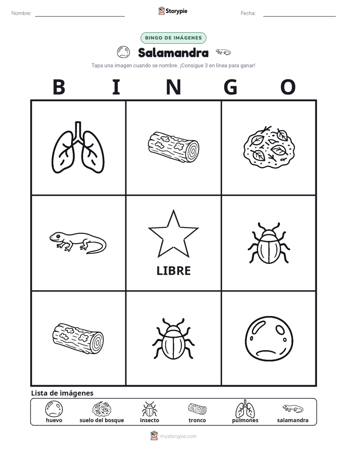 Bingo de Imágenes