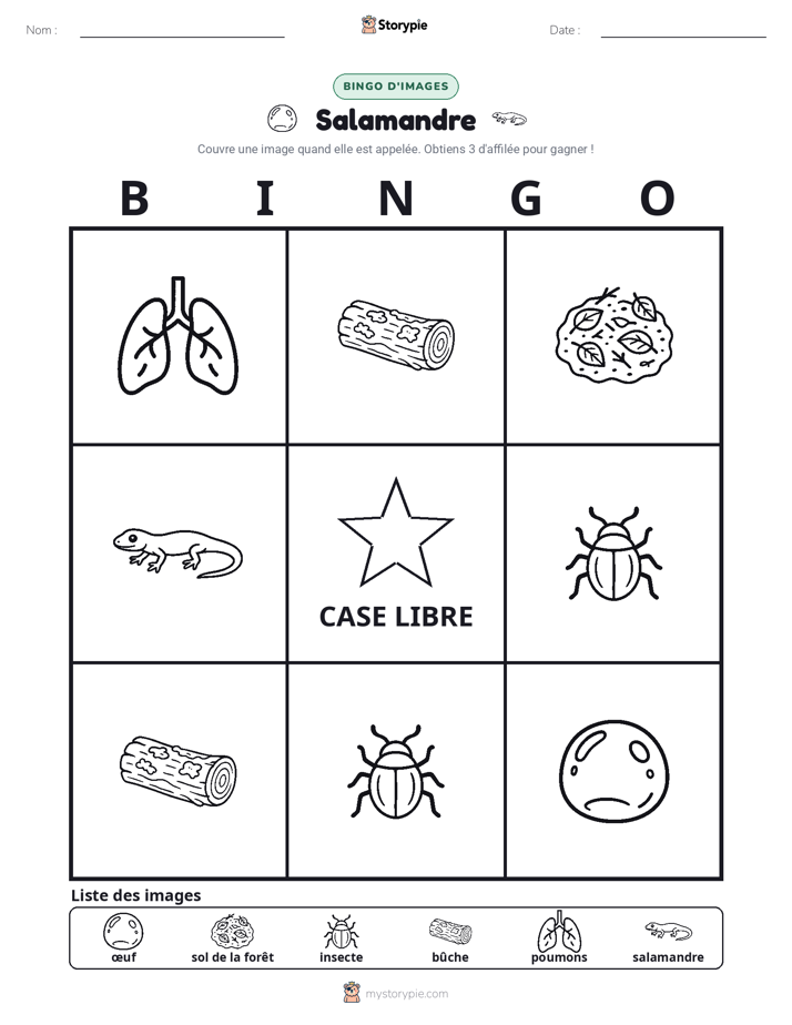 Bingo d'Images