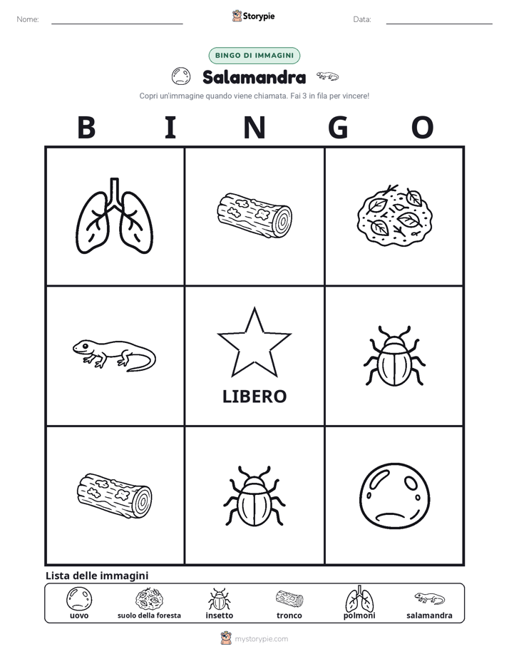 Bingo delle Immagini