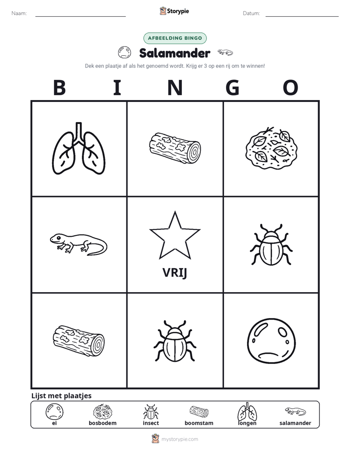 Afbeelding Bingo