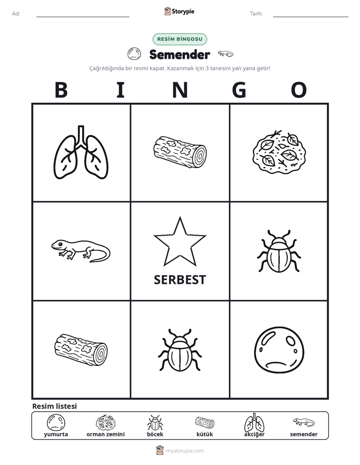 Resim Bingo