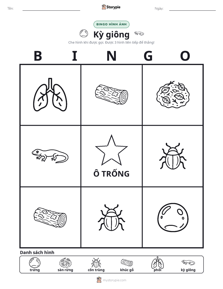 Bingo Hình Ảnh