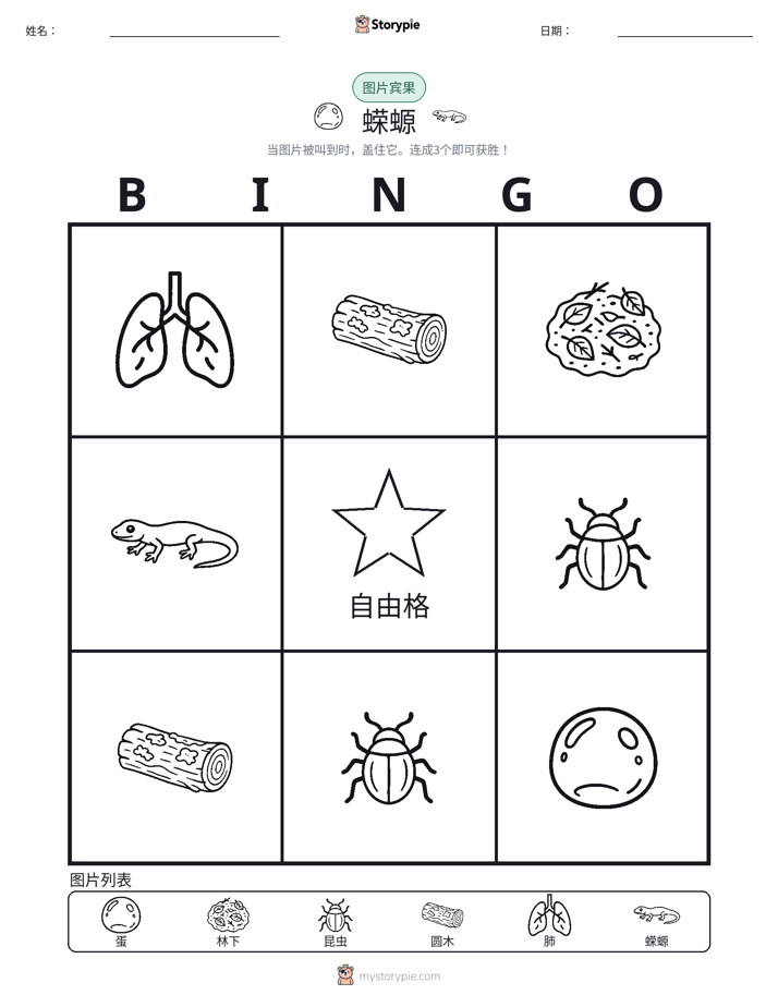 图片宾果