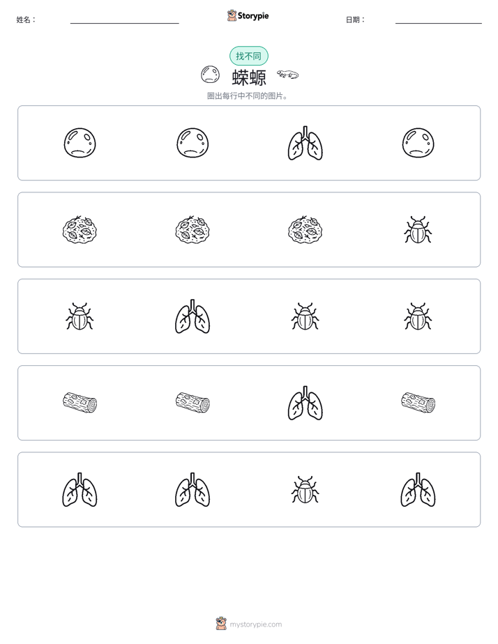 找不同
