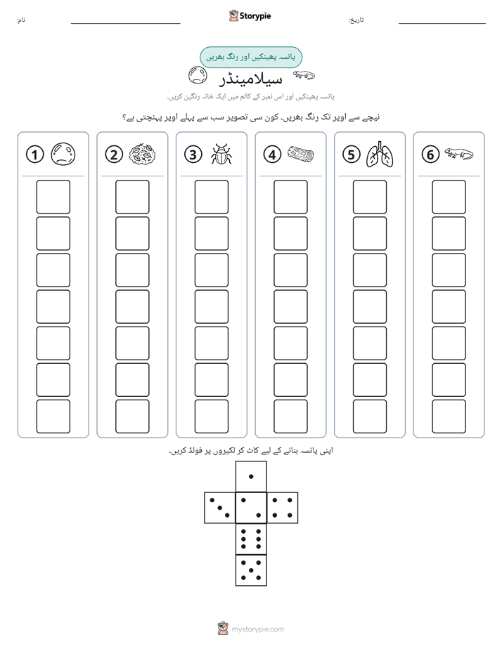 رول اور رنگ