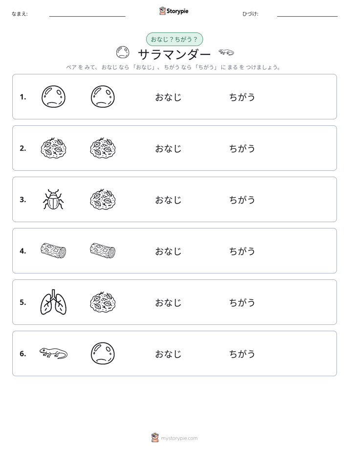 同じか違うか