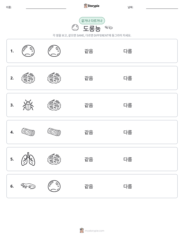 같은 것 또는 다른 것