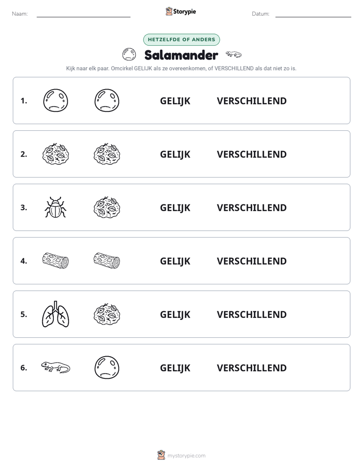 Zelfde of Verschillend