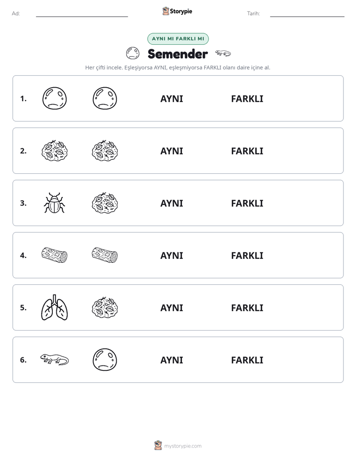 Aynı mı Farklı mı