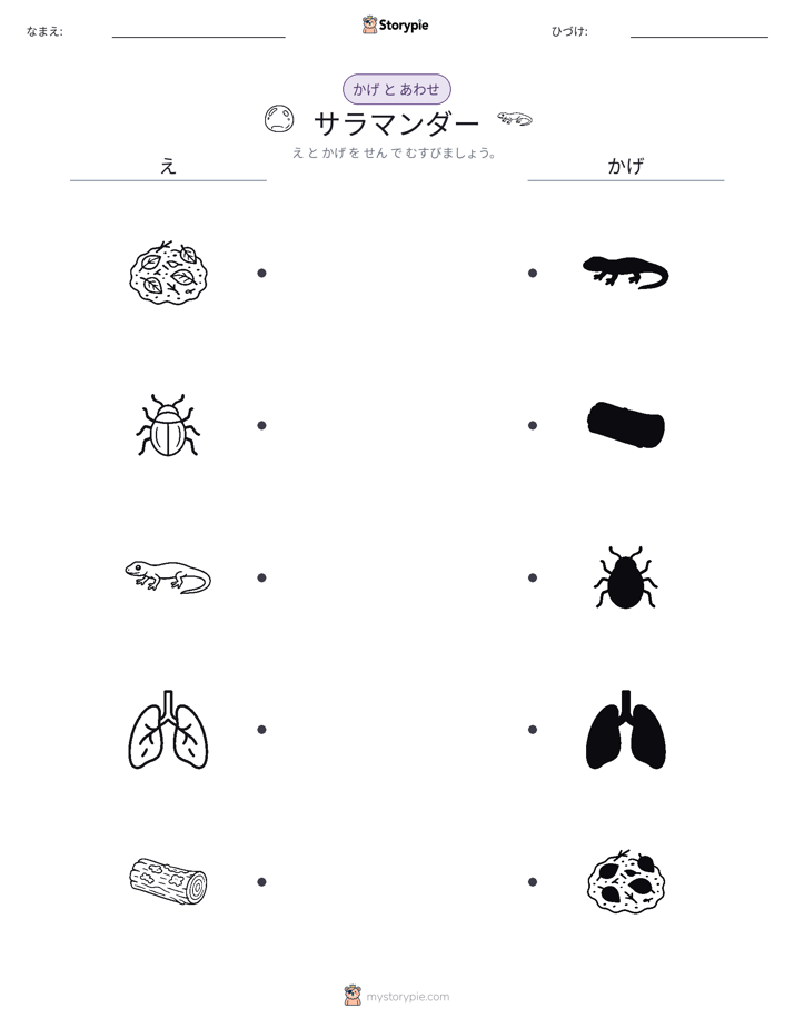 シャドウマッチ