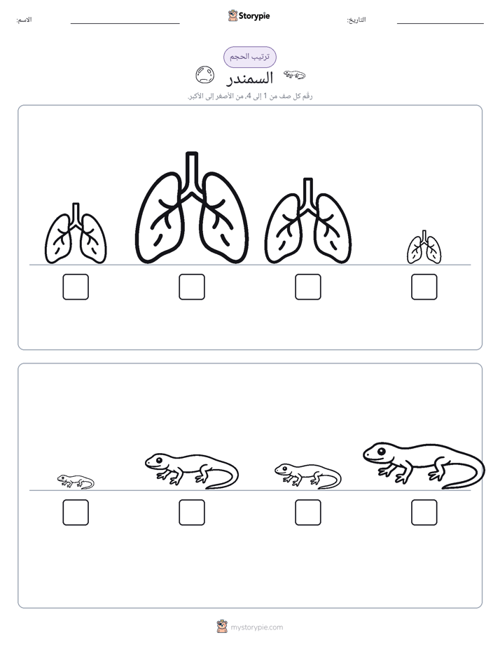 ترتيب الحجم