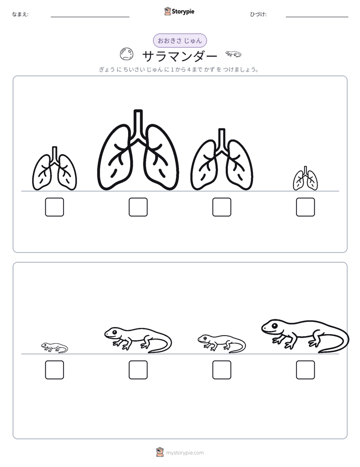 サイズ順