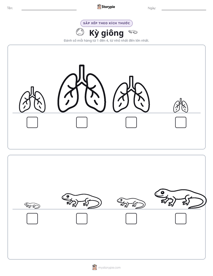 Thứ Tự Kích Thước