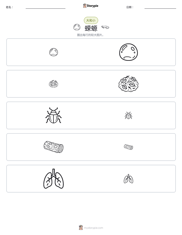 分类
