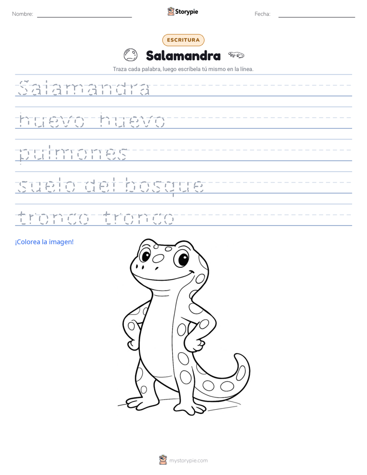 Práctica de Escritura