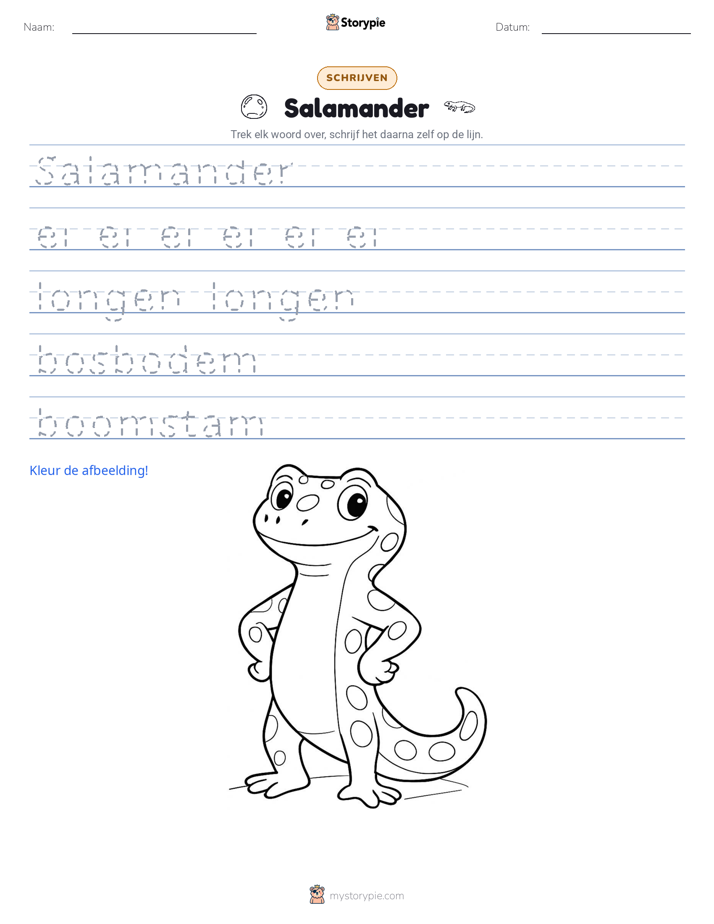 Schrijf Oefening