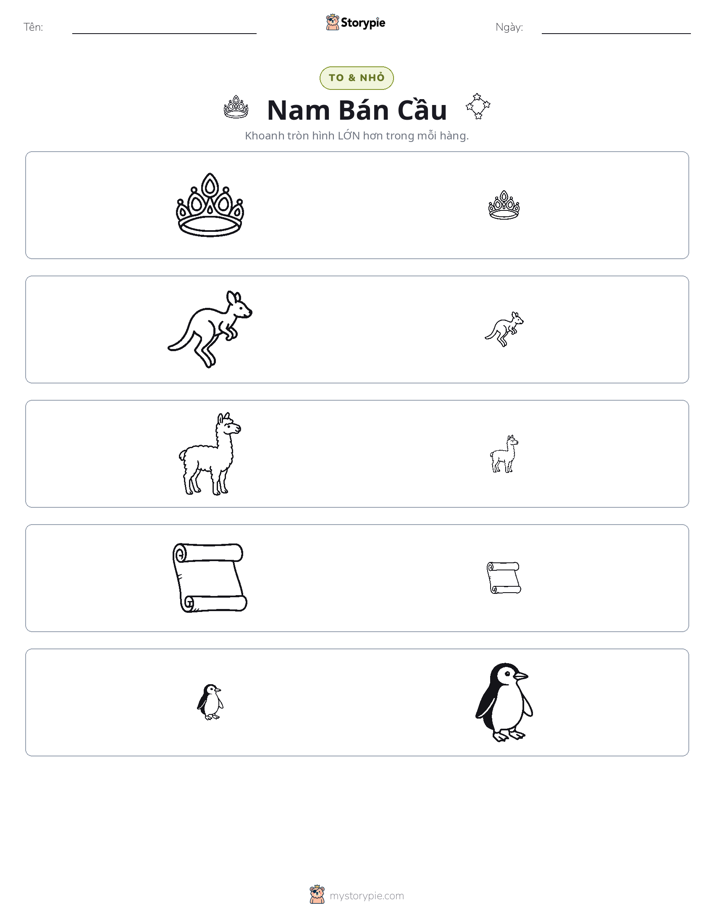 Phân Loại