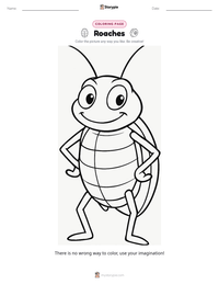 Roaches printable worksheet preview