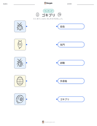 ゴキブリ の印刷可能ワークシートプレビュー