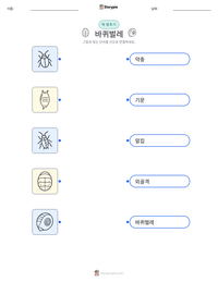 바퀴벌레 인쇄 가능한 워크시트 미리보기