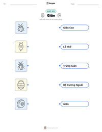 Tài liệu in sẵn Gián cho trẻ em